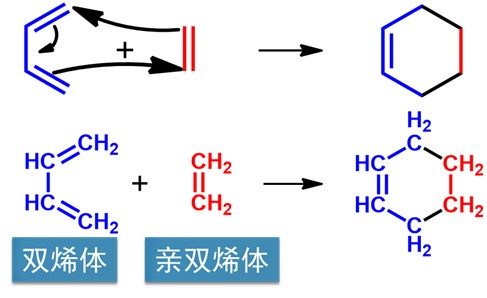 Diels-Alder 反应